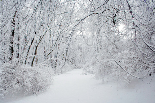 雪花.jpg